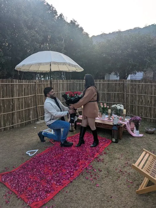 The Proposal — Rose Petals